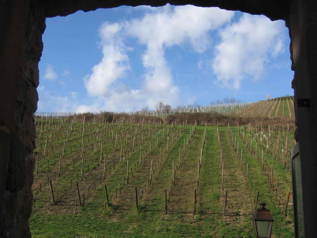 Gite Chez Marcel Riquewihr Rum bild