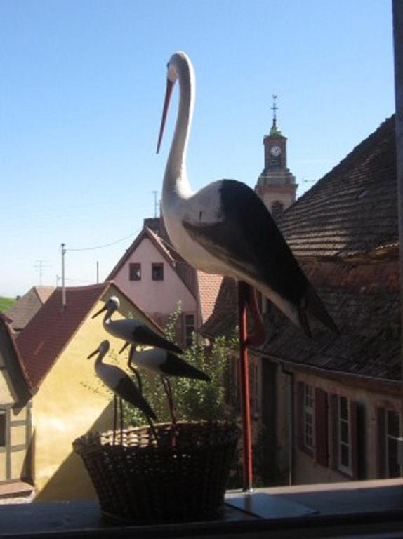 Gite Chez Marcel Riquewihr Exteriör bild